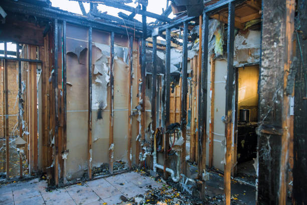 Professional Fire Damage Removal technician working in Upper Falls, MD